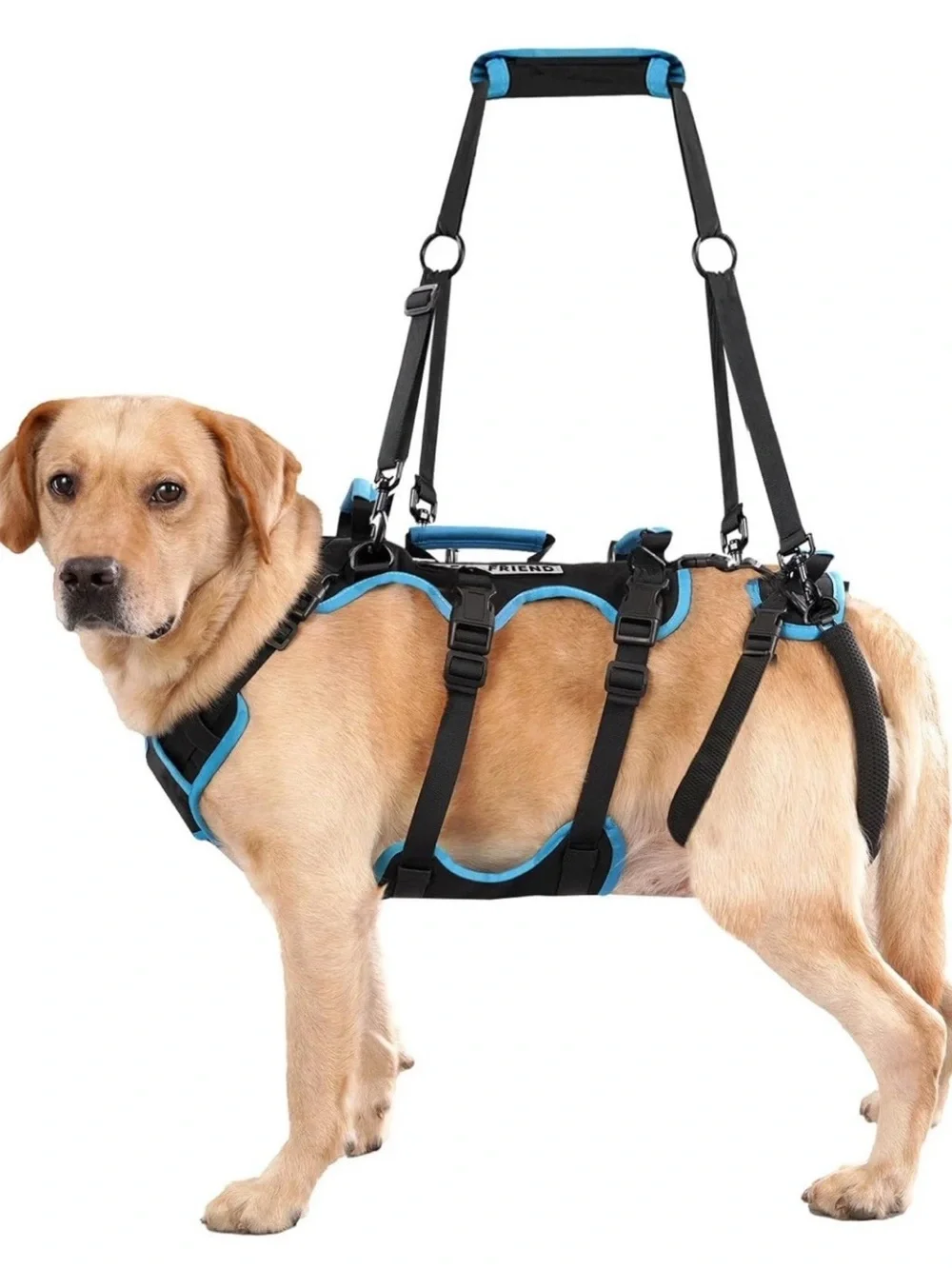 Blue Dog Lift Harness - Supportive Mobility Assist
